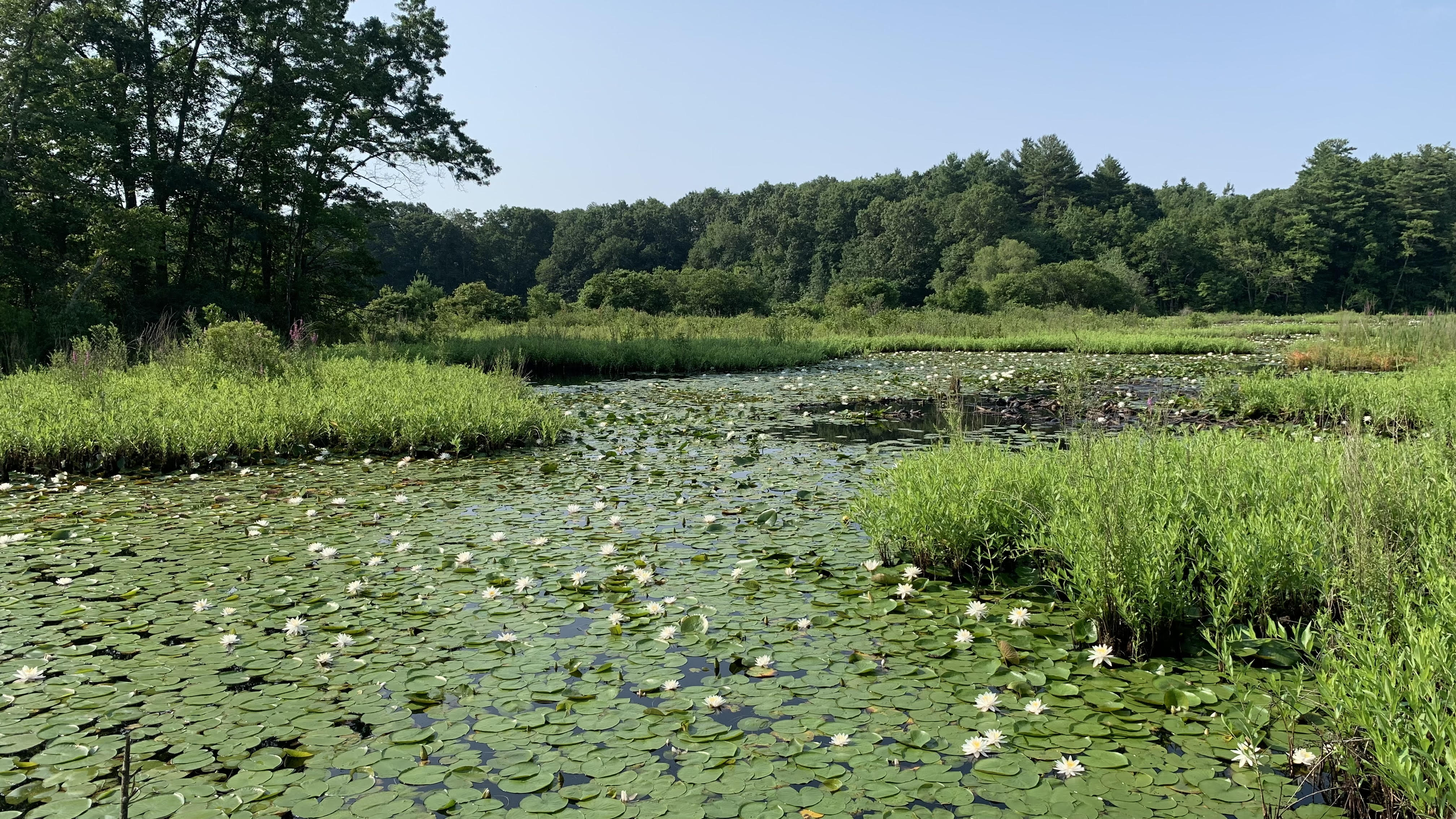 Bass Pro Shops to anchor Patriot Place retail center