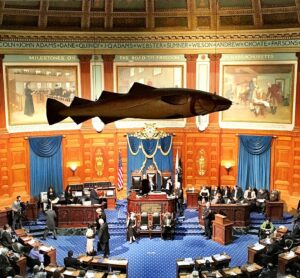 The Sacred Cod hanging above the chamber of the Massachusetts House of Representatives was once “codnapped” by staff members from the Harvard Lampoon.Photo/Wikipedia

