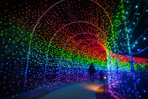 Tower Hill Botanic Garden in Boylston’s illuminated landscapes are sure to brighten up your holiday spirits. Photo/Troy B. Thompson Photography